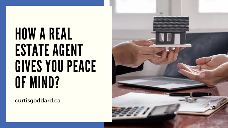 How A Real Estate Agent Gives You Peace Of Mind?